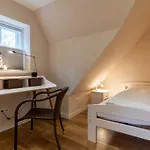 Feriehus Mole Hues Reetdachhaus Mole Hues Böhl